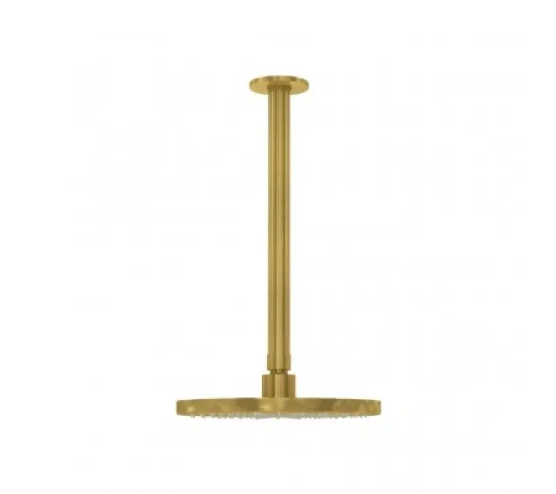 Waterevolution Flow head shower 200mm with ceiling connection Brushed Brass T1642LE