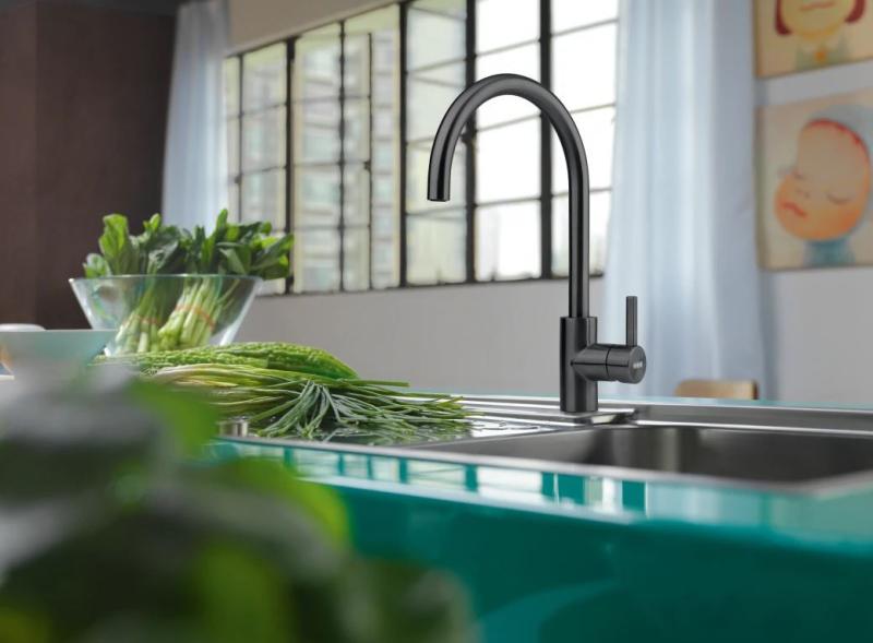 Franke Kitchen tap Eos Neo swivel spout brushed black 115.0666.437