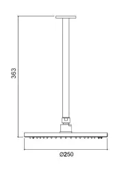 Waterevolution Flow head shower 250mm with ceiling connection matt white T164225BR