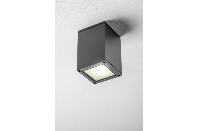Decor Ceiling luminaire LENTO alum 100x130 IP54 max 35W square graphite 1208963923
