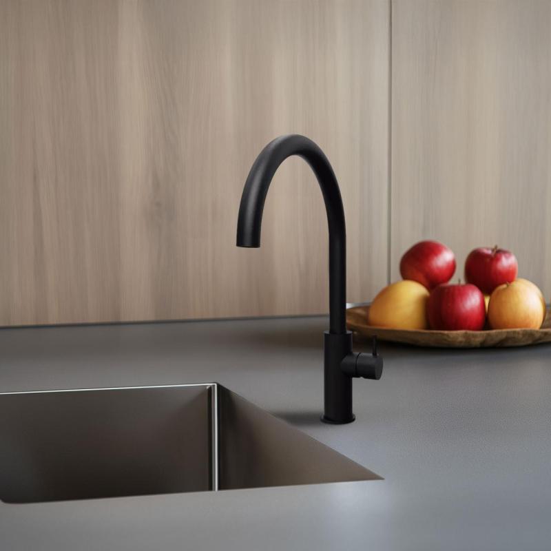 Waterevolution Flow kitchen faucet with round swivel spout black T158UPR